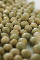 Image showing Soya beans