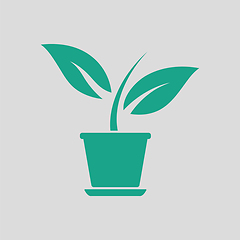 Image showing Plant in flower pot icon