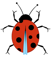 Image showing Small beautiful spotted insect ladybug type overhand