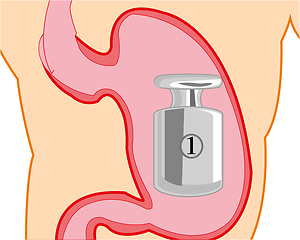 Image showing Gravity in organ of the person belly cartoon