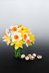 Image showing Spring Quail Eggs and Daffodil Flowers