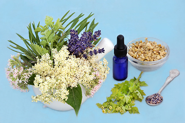 Image showing Herbs and Flowers Plant Based Medicine to Treat Anxiety