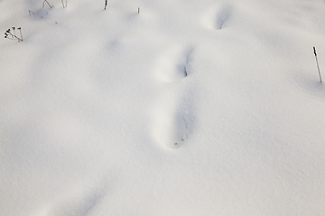 Image showing After snowfall