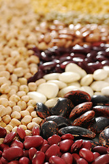 Image showing Beans