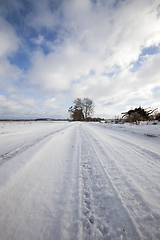 Image showing The road in winter