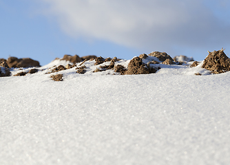 Image showing Snow in winter