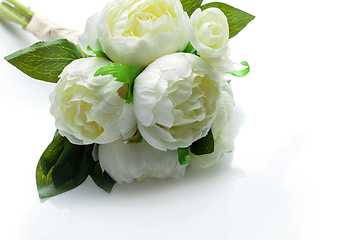 Image showing peony flowers isolated on white