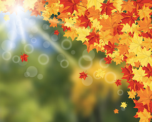 Image showing Autumn background