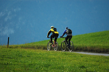 Image showing Cyclist