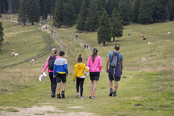 Image showing Family with children hiking outdoors in summer nature