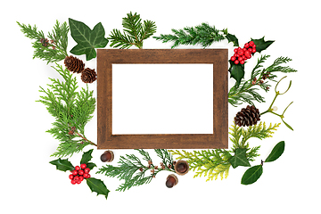 Image showing Natural European Winter Flora with Wooden Frame