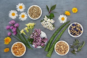 Image showing Flowers and Herbs Used in Natural Herbal Medicine