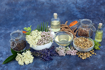 Image showing Calming Herbs Used in Natural Herbal Medicine