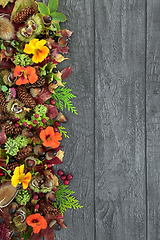 Image showing Abstract Border for Autumn Harvest Festival 