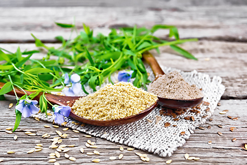 Image showing Bran and flour flaxseed in two spoons on old board