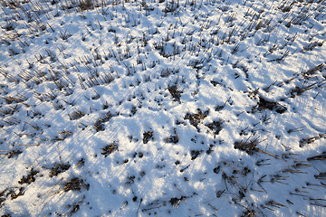 Image showing Snow drifts in winter