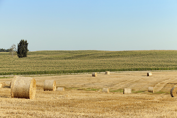 Image showing haystacks in a field of straw