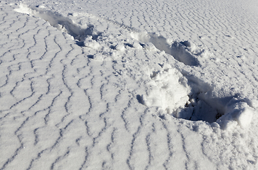 Image showing Snow surface, winter