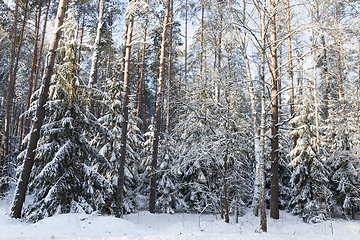 Image showing Snow drifts in winter