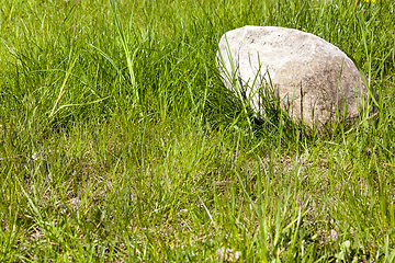 Image showing green and cobblestone