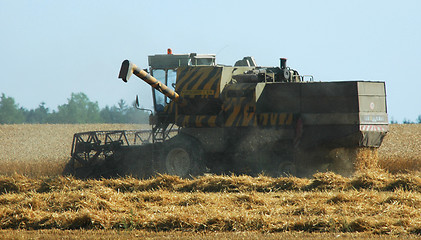 Image showing Harvest