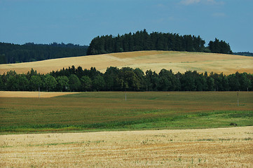 Image showing Field