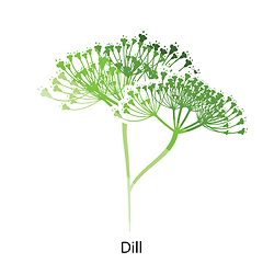 Image showing Dill  icon