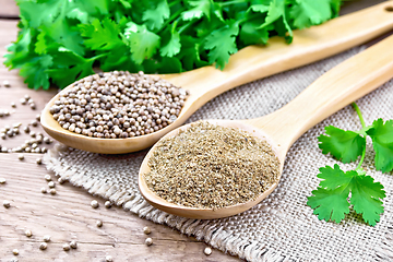 Image showing Coriander ground and seeds in two spoons on burlap