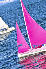 Image showing Small sailboats