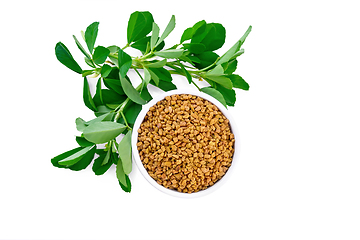 Image showing Fenugreek with green leaves in bowl top