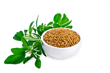 Image showing Fenugreek with green leaves in bowl