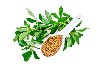 Image showing Fenugreek with green leaves in spoon top