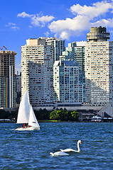 Image showing Sailing in Toronto harbor