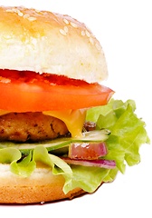 Image showing Tasty Homemade Hamburger 