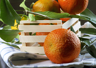 Image showing Ripe Tangerines with Leafs