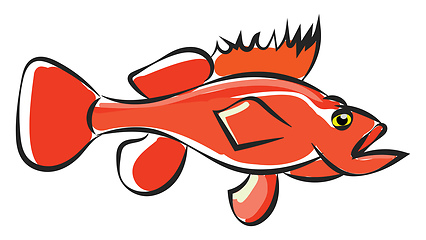 Image showing Clipart of orange colored marine fish sea bass vector or color i