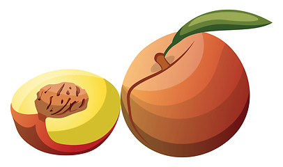 Image showing Cartoon of a orange red and yellow peach fruit with green leaf h