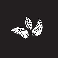 Image showing The basic minimalistic form of botanical leaves without decorati