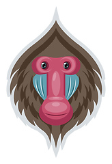 Image showing Monkey, vector color illustration.