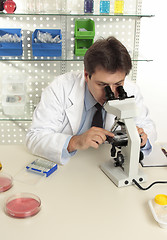 Image showing Scientist using microscope in laboratory