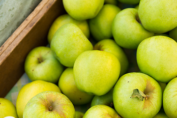 Image showing Green Apple 