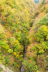 Image showing Naruko canyon