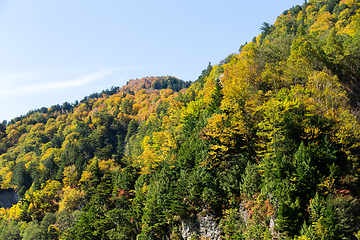 Image showing Daikanbo in Japan