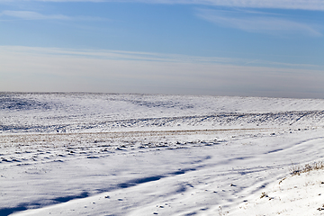 Image showing Snow in winter