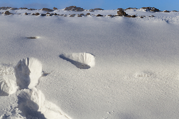 Image showing Snow in winter