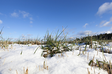 Image showing snow photo, close up