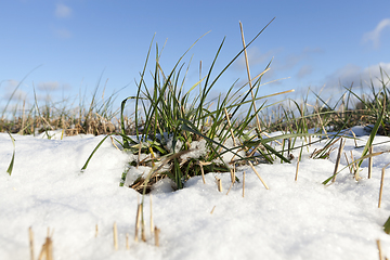 Image showing snow photo, close up