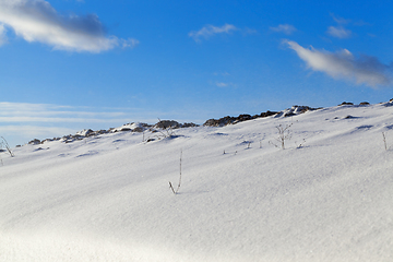 Image showing Snow in winter