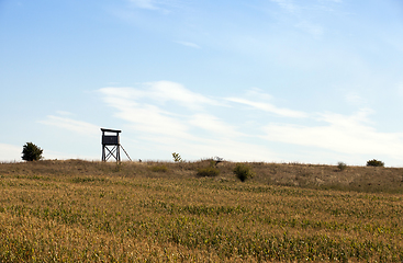 Image showing wooden tower, field