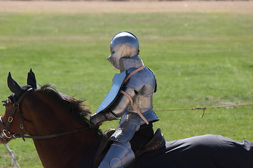 Image showing Mounted Knight